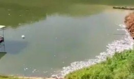 阿哈水库爆料视频大全最新,揭秘水库神秘面纱背后的真相